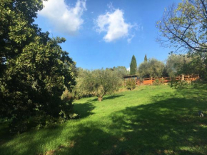 Madonnella Agricola
